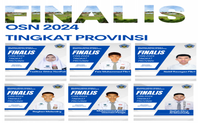 OSN Provinsi 2024